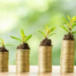 Investment return