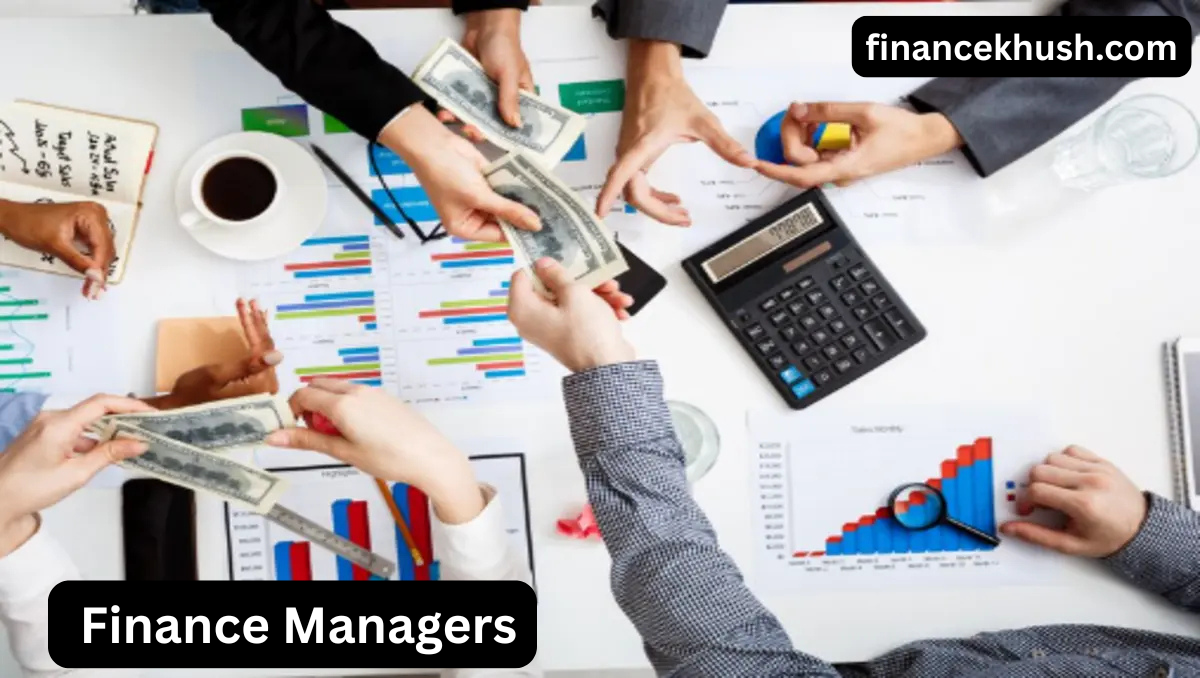 Finance Managers